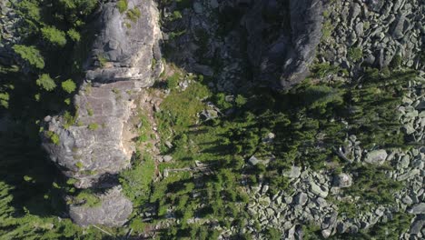 Aerial-View---Forested-Mountains