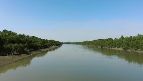 mai po nature reserve and wetlands, hong kong, aerial view