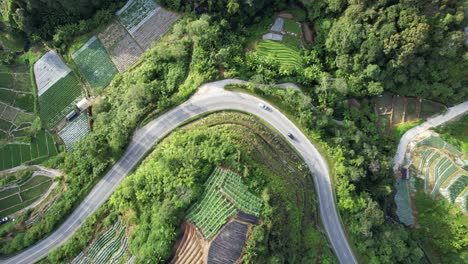 general landscape view of the brinchang district within the cameron highlands area of malaysia