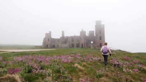 lady walker heads to slains castle through red campion