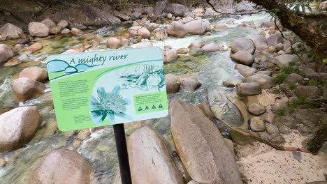a sign provides information beside a clear, flowing river surrounded by lush greenery and rocks in a rainforest setting