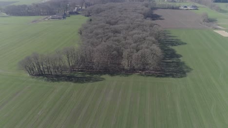 High-aerial-drone-shot-of-agriculture-farm-fields,-small-forest-and-town