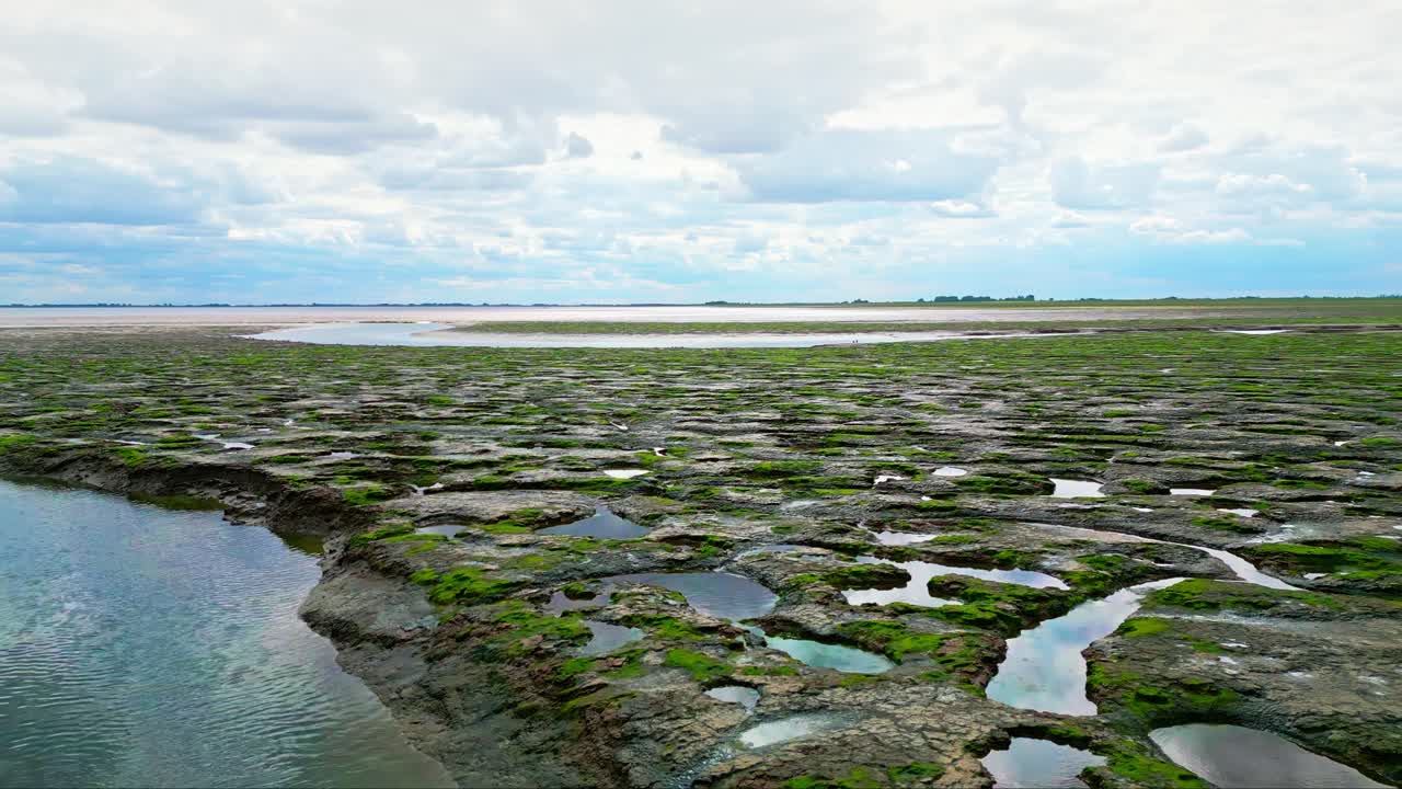 pisos de barro agrietados en un pantano salado