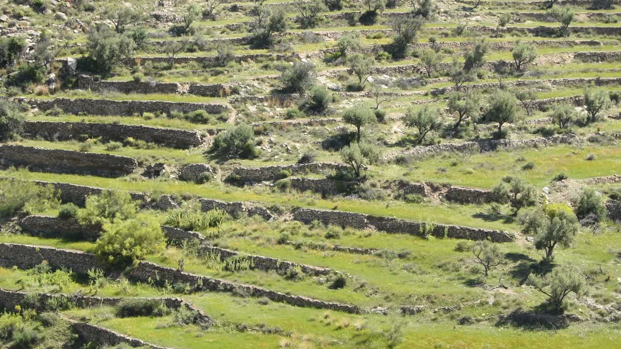 antiguas terrazas agrícolas hechas a mano por agricultores del sur de españa