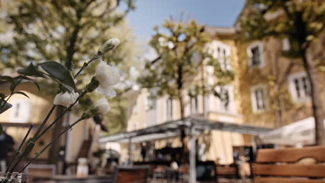 Preparing-an-outdoor-dining-area-in-summer