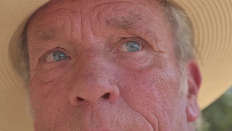 closeup face of old man 70s with blue eyes, looking into the distance