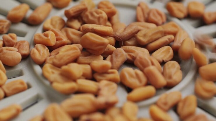 Fenugreek Seeds Falling onto a Plastic Tray
