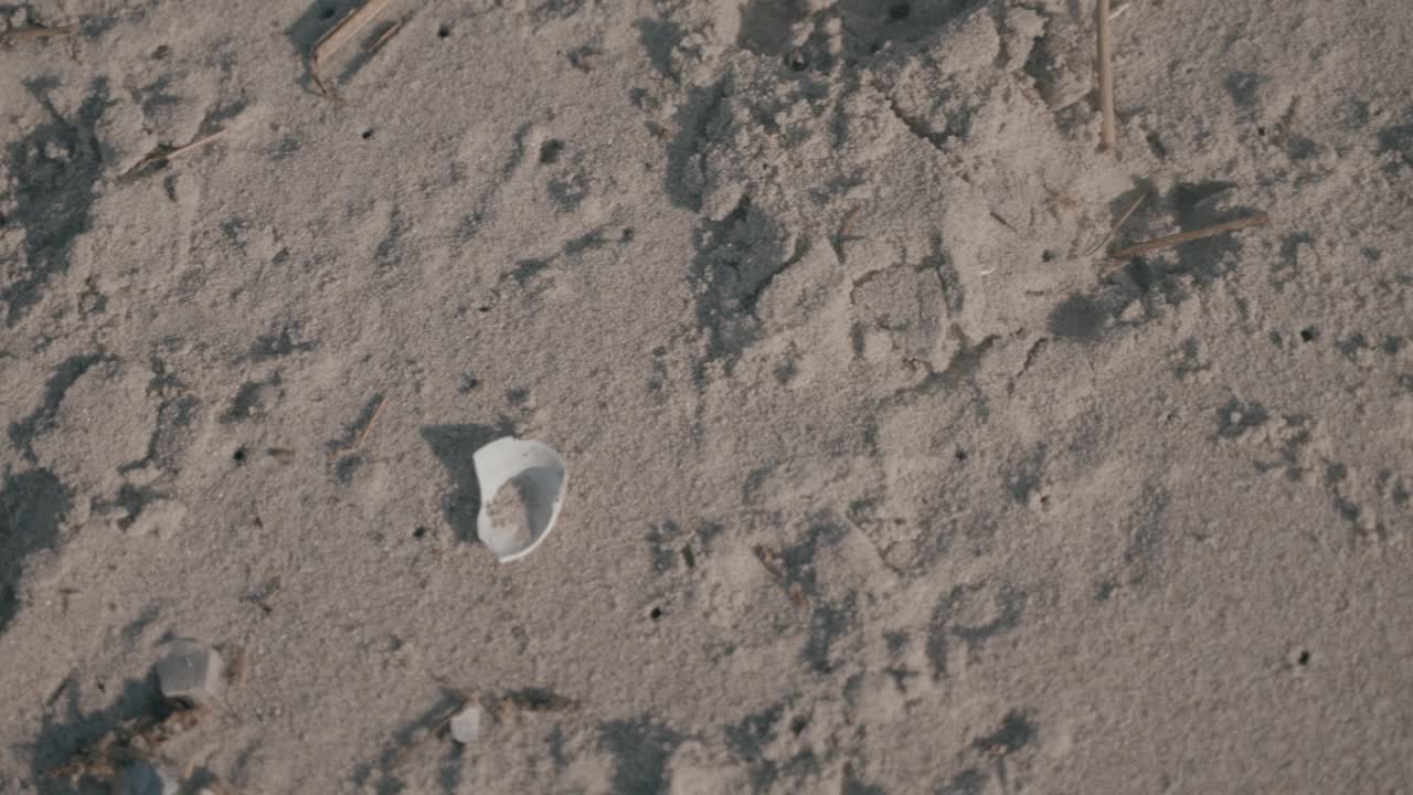 덴마크 해변 의 느린 움직임 녹화