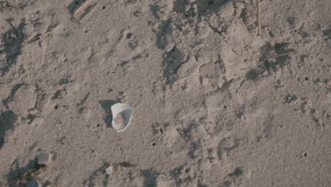 una grabación en cámara lenta de una playa danesa