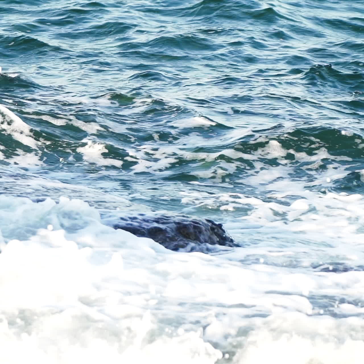 Natural view of waves breaking into dark rocks near beach. Sea waves with white foam on the dangerous stones. Ocean waves crashing against the rocks on the shore. Close-up.