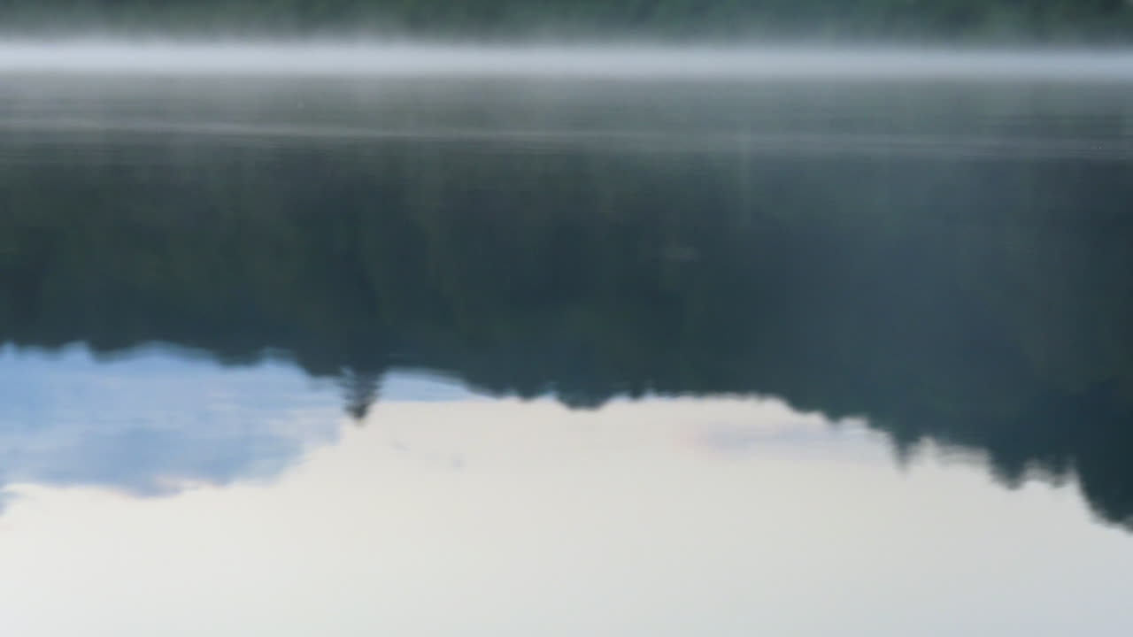 물에 아침 안개와 호수 반사