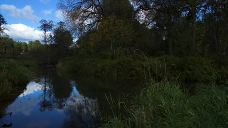 Zeitraffer-Von-Vorbeiziehenden-Wolken,-Die-Sich-Auf-Einem-Teich-Im-Wald-Widerspiegeln