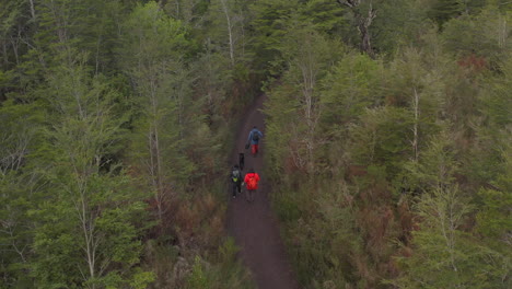 following hikers inside the forest, is a trail call cerro la picada view point