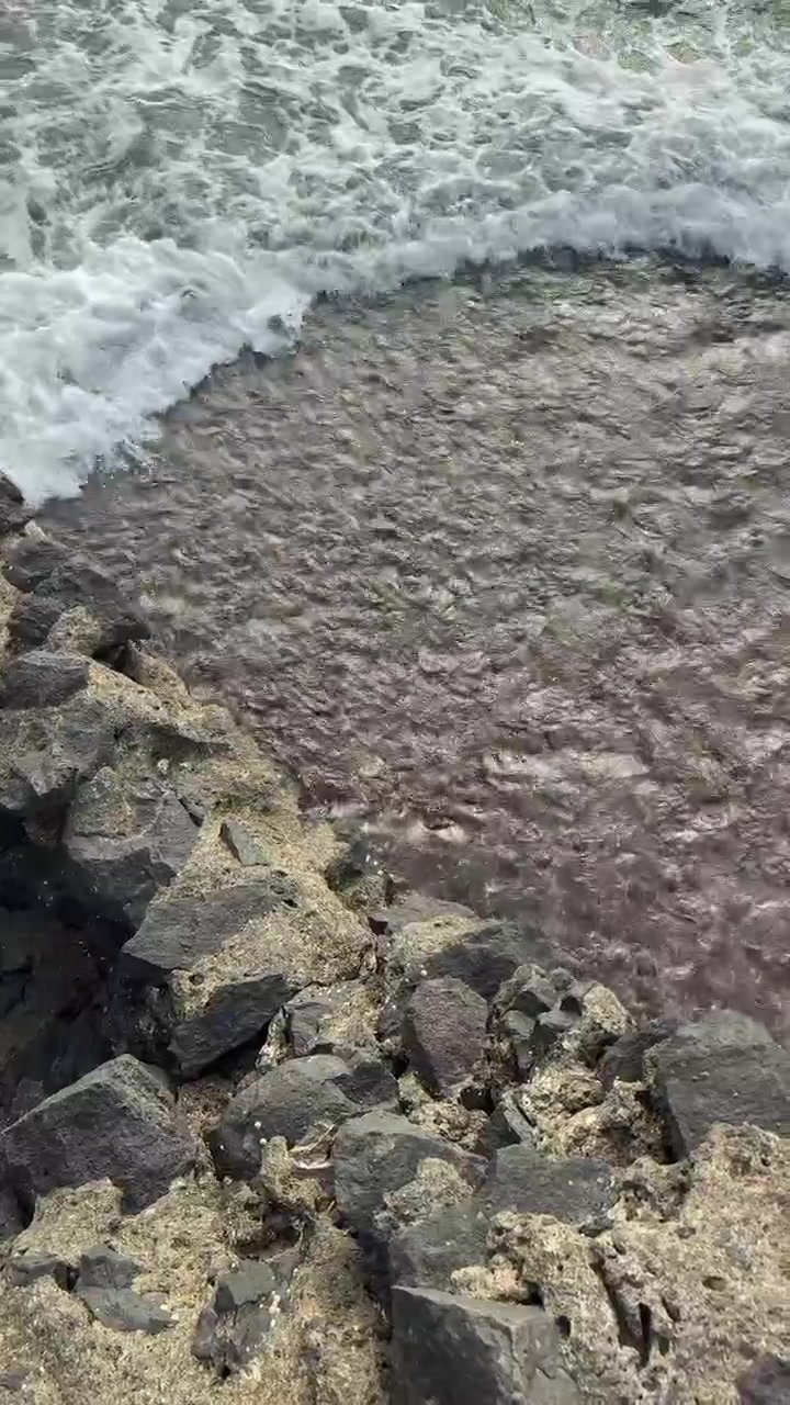 Le onde dell'oceano si schiantano contro la costa rocciosa