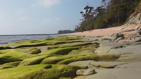 durante la marea baja, las antiguas rocas volcánicas forman patrones únicos a lo largo de la costa proporcionando un hogar para plantas y animales resistentes a la sal