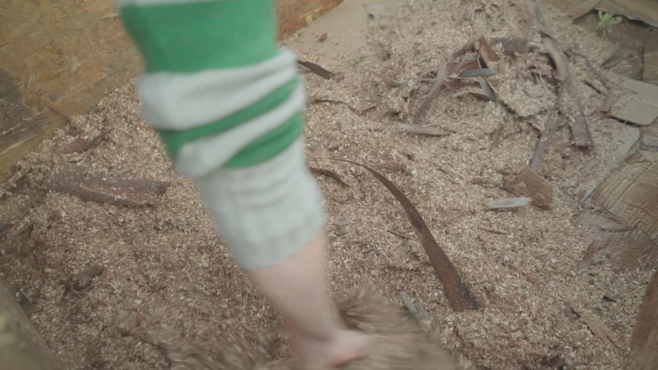 Women prepare a home wooden compost heap box. One of them spreads sawdust through the box.