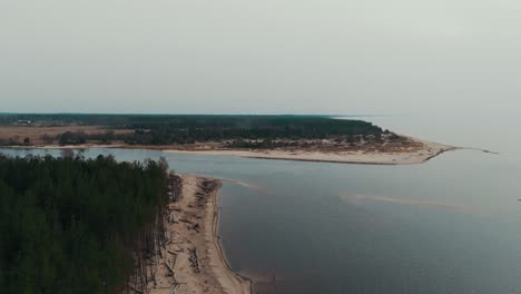 Aerial-Shot-Gauja-River-Flows-Into-the-Baltic-Sea-Gulf-of-Riga,-Latvia-Broken-Pines-After-Storm-and-Washed-Up-Shore