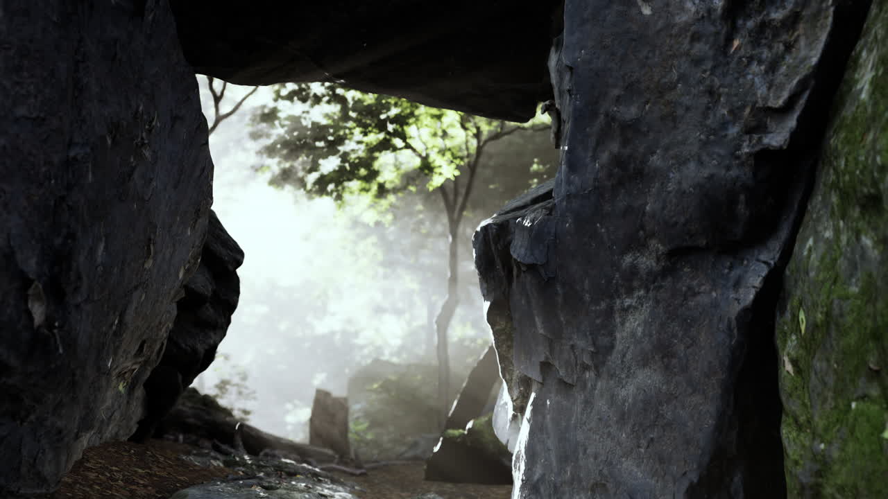 바위 를 가로질러 안개 가 가득 한 숲 입구