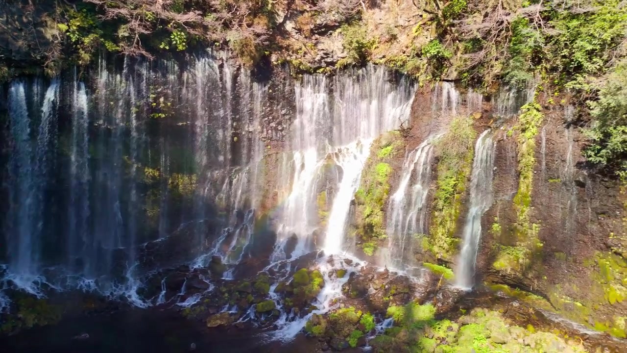 Toma de seguimiento con dron haciendo un paneo por la amplia pared de acantilado cubierta de musgo de las Cataratas Shiraito, revelando las innumerables pequeñas cascadas y el puente río abajo