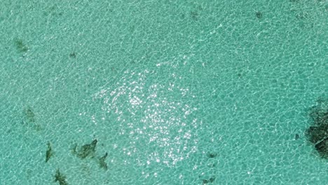 emerald ocean sea beach seychelles drone aerial view