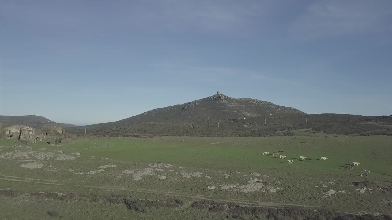 "Roses Costa Brava: Coastal Splendor Unveiled