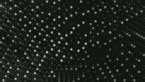 Pixel-mesh-appearing-flashing-on-black-background