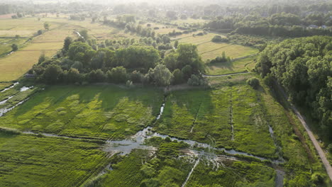 Upward-Tilt-Aerial-Reveals-Sunset-in-Natural-Reserve-of-Bourgoyen-Ossemeersen-Near-Ghent