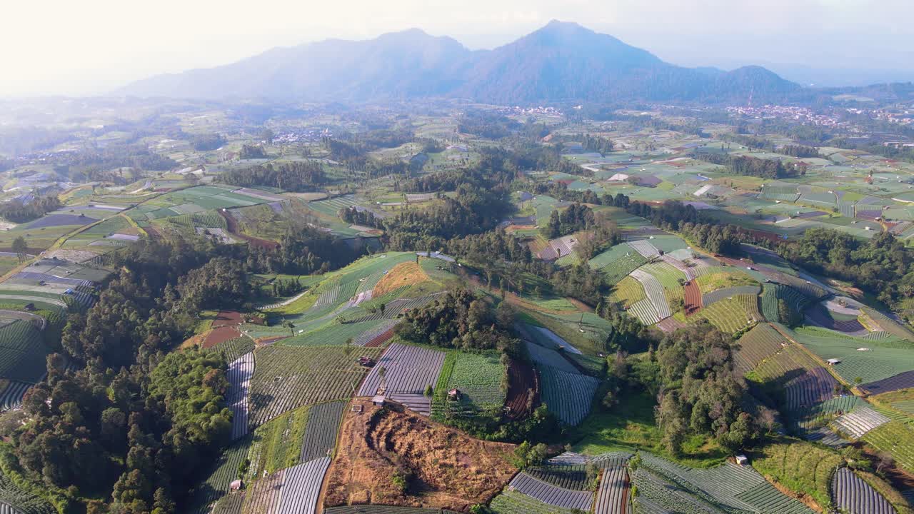 vista aérea de una exuberante plantación vegetal con montaña en el fondo por la mañana con un clima ligeramente nublado - paisaje tropical de indonesia