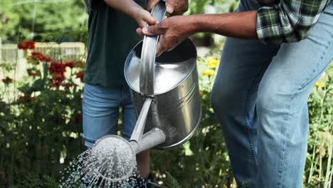 Tilt-down-video-of-grandfather-and-grandson-watering-vegetable