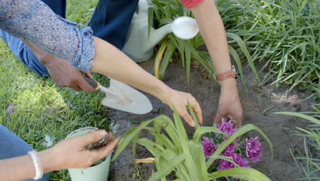 happy senior biracial couple working in sunny garden at home, slow motion