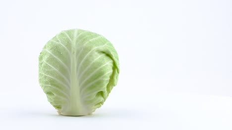 물방울이 있는 미니  고기 전체의 반 프레임이  바탕에 고립된 턴테이블에 회전하고 있습니다.