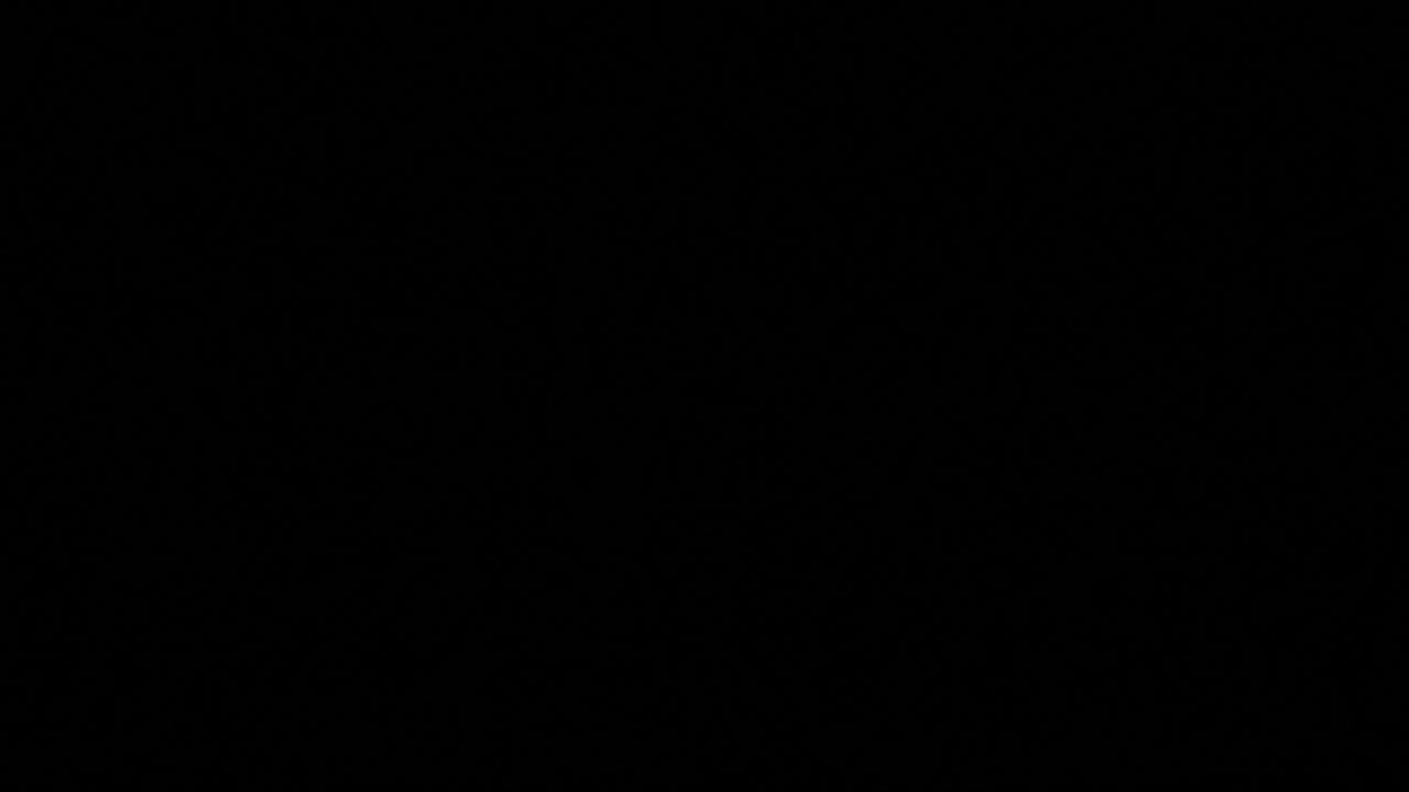 un mensaje de texto intermitente, caracteres de tipo plantilla verde que aparecen y desaparecen sobre un fondo negro: acceso concedido