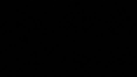 a flashing text message, green stencil-type characters appearing and disappearing over a black background: access granted