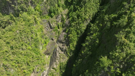 Cañón-San-Cristóbal-Berge-Puerto-Rico-Tropischer-Wald-An-Einem-Sonnigen-Tag-4