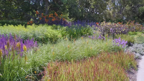 moving through garden bed of flowers at the botanic gardens in melbourne australia