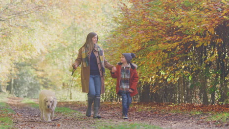 Mutter-Und-Sohn-Gehen-Händchen-Haltend-Mit-Ihrem-Haustier-Golden-Retriever-Auf-Der-Strecke-In-Der-Herbstlichen-Landschaft-Spazieren