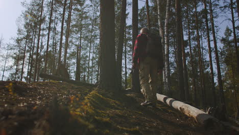 el excursionista está caminando a través de la matorral del bosque que se eleva en la colina caminando en un soleado día de otoño hacia atrás vista de la figura del hombre