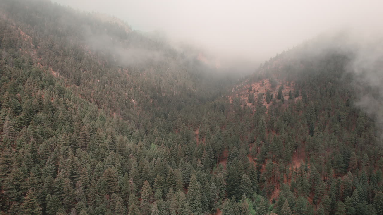 Panoramica aerea verso l'alto che rivela una strada sterrata, una fitta foresta del Cheyenne Canyon, Colorado, in una mattina nebbiosa