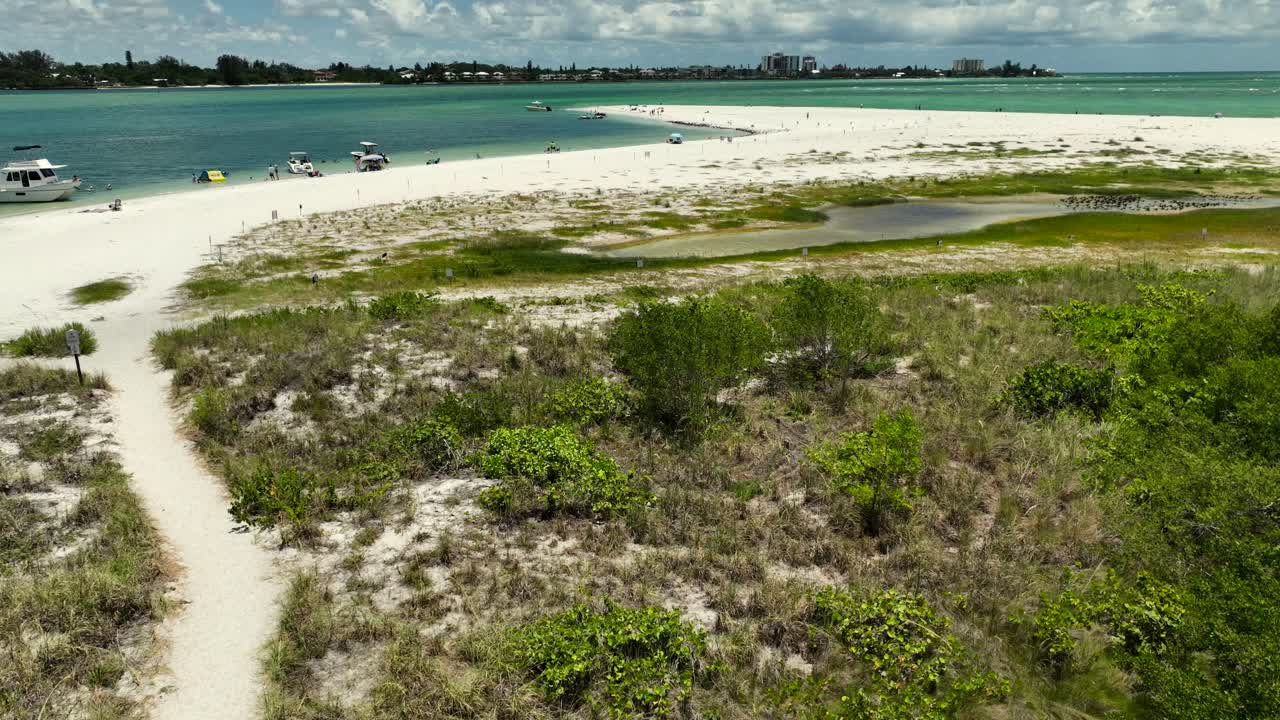 Ripresa con drone verso la spiaggia mentre uno stormo di Beccapesci è stato spaventato