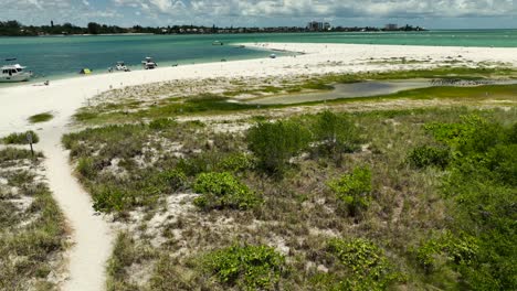 droning towards the beach when a flock of skimmers were startled