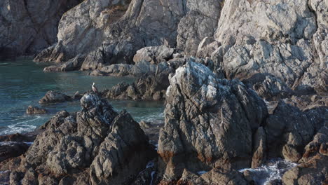 Dark-colored-cormorant-birds-sitting-on-top-of-the-rocks,-with-waves-crushing-on-the-rocks,-in-the-evening