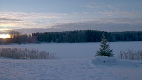 Paisaje-Nevado-Con-Un-Solo-Abeto-Frente-A-Un-Lago-Congelado-Durante-La-Puesta-De-Sol