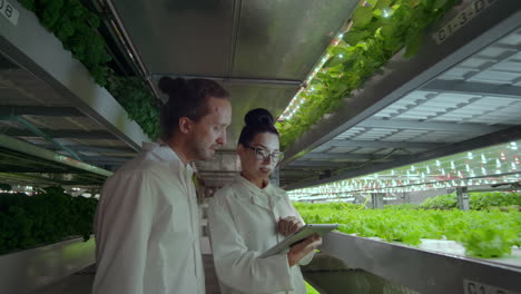 sistema de agricultura vertical moderna y sus empleados que cuidan de las plantas. producción de alimentos vegetales en capas apiladas verticalmente.