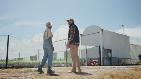 farm workers collaborating in greenhouse