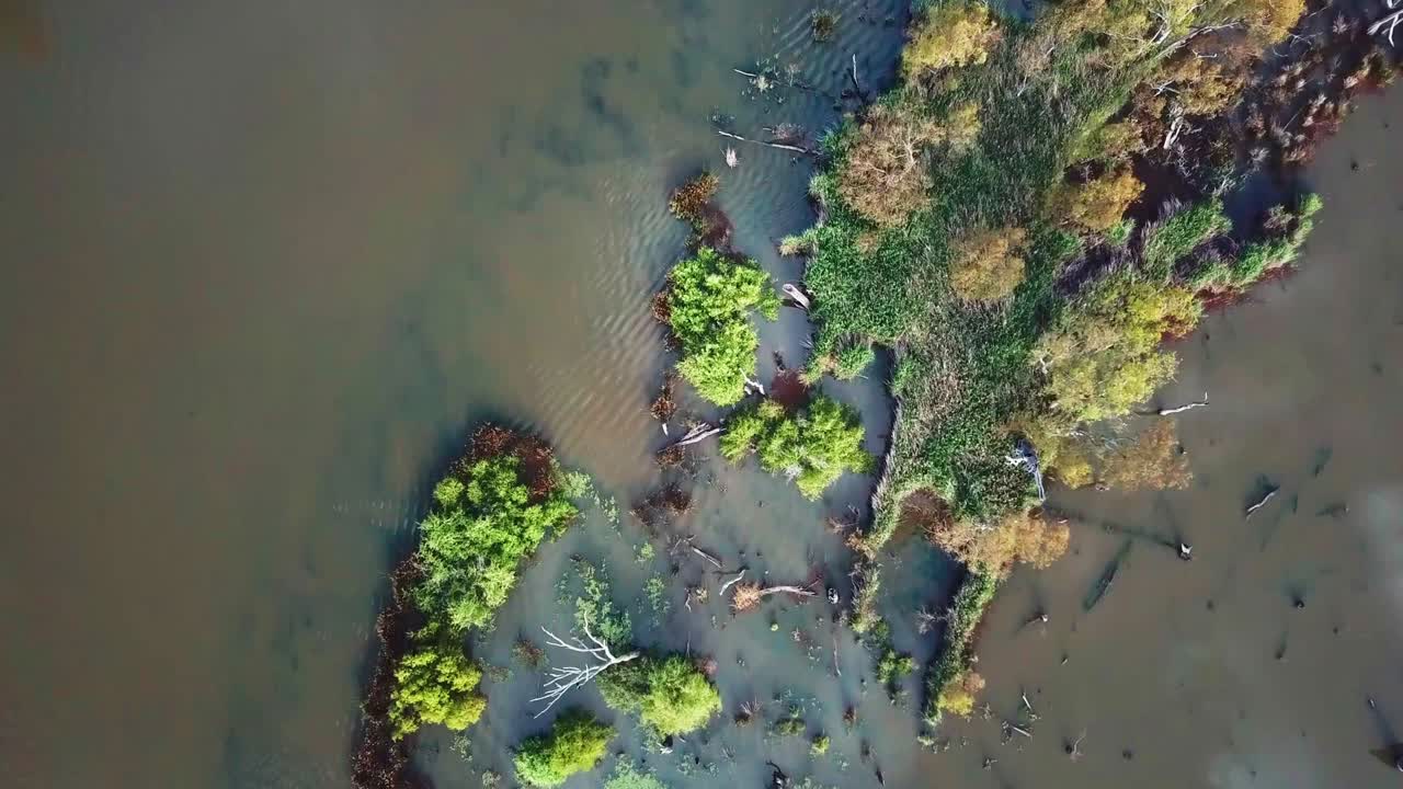 Drone view looking down on inundated vegetation in Lake Mulwala, where the Ovens River joins the Murray River, Australia. November 2021.