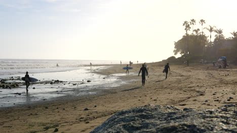 surfers and tourists on vacation walking on a tropical island beach with palm trees in the scenic sunshine