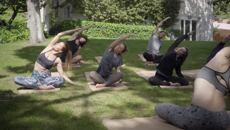 people practicing yoga together in park