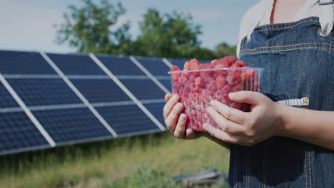A-farmer-holds-a-freshly-picked-raspberry,-stands-in-front-of-the-panels-of-a-home-solar-power-plant.-Ecology-and-organic-products-concept.-Side-view