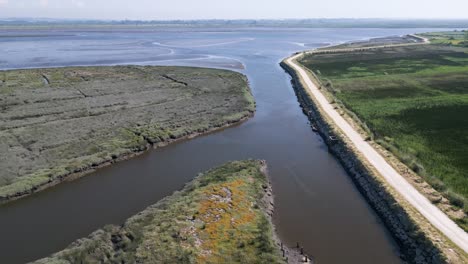 aerial view of aveiro ria near veiros, estarreja with vivid wetlands