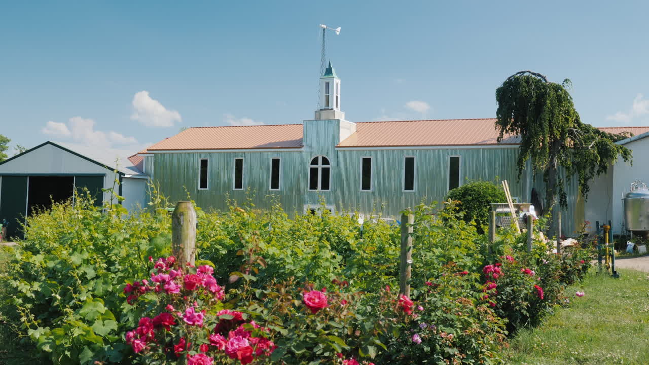 전경에 장미가 있는 대형 농업 격납고와 후면 그래프에 작은 풍력 발전기